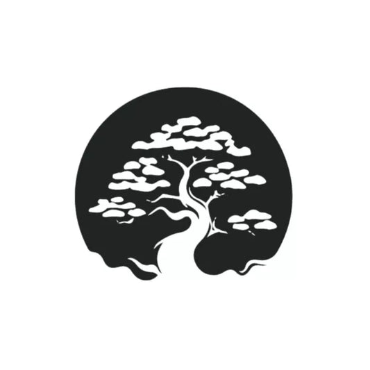 Huésped recibiendo una sesión de terapia con cuencos de sonido en Bhavana Holistic Healing, en un ambiente relajante y profesional.